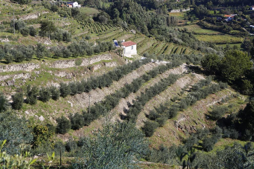 Casa Dos Becos Βίλα Ribadouro Εξωτερικό φωτογραφία