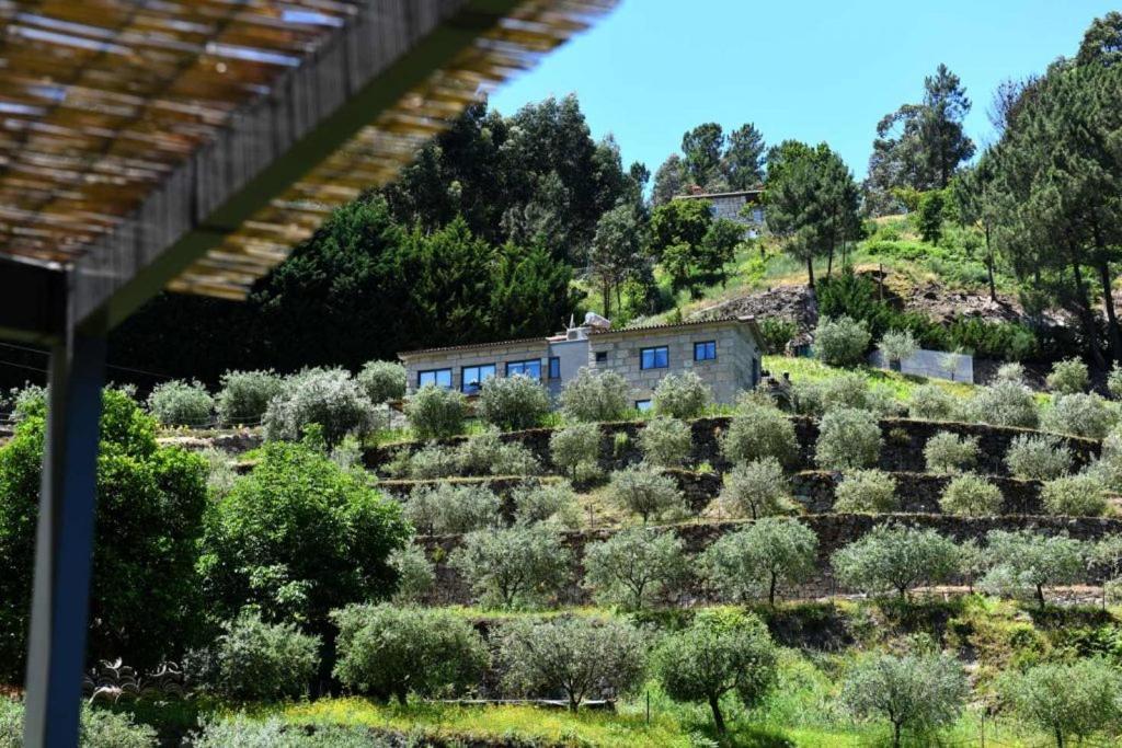 Casa Dos Becos Βίλα Ribadouro Εξωτερικό φωτογραφία