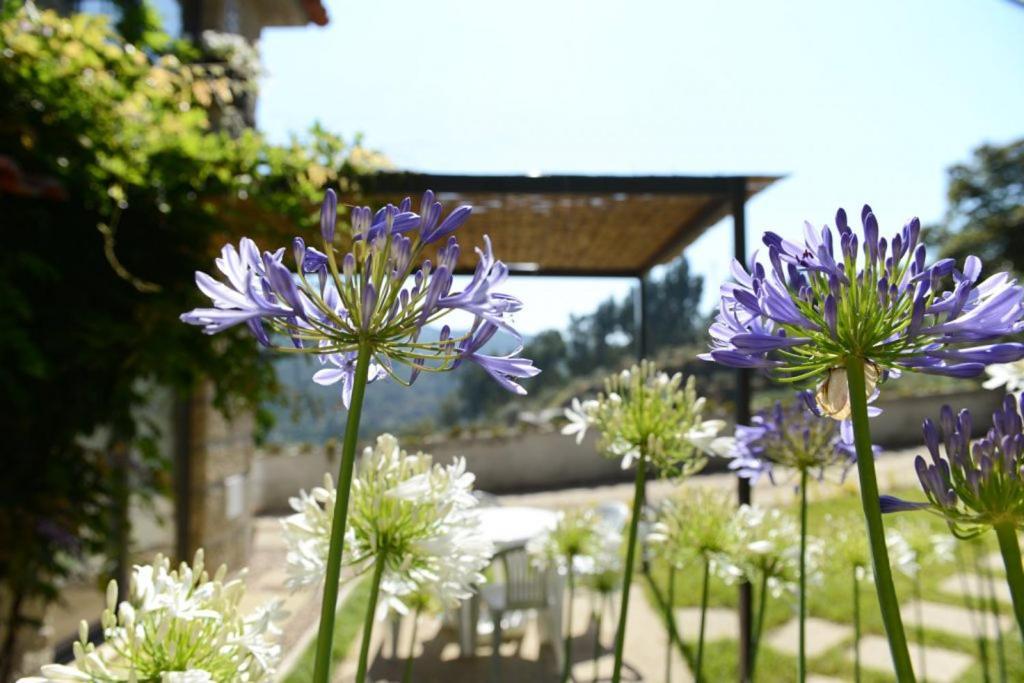 Casa Dos Becos Βίλα Ribadouro Εξωτερικό φωτογραφία