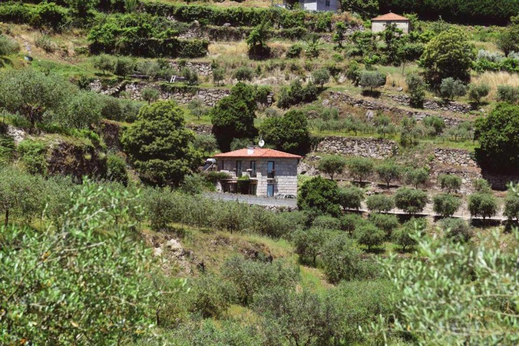 Casa Dos Becos Βίλα Ribadouro Εξωτερικό φωτογραφία