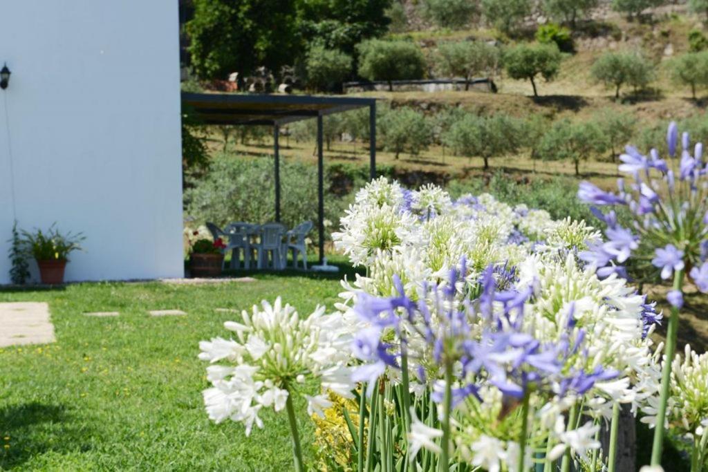 Casa Dos Becos Βίλα Ribadouro Εξωτερικό φωτογραφία