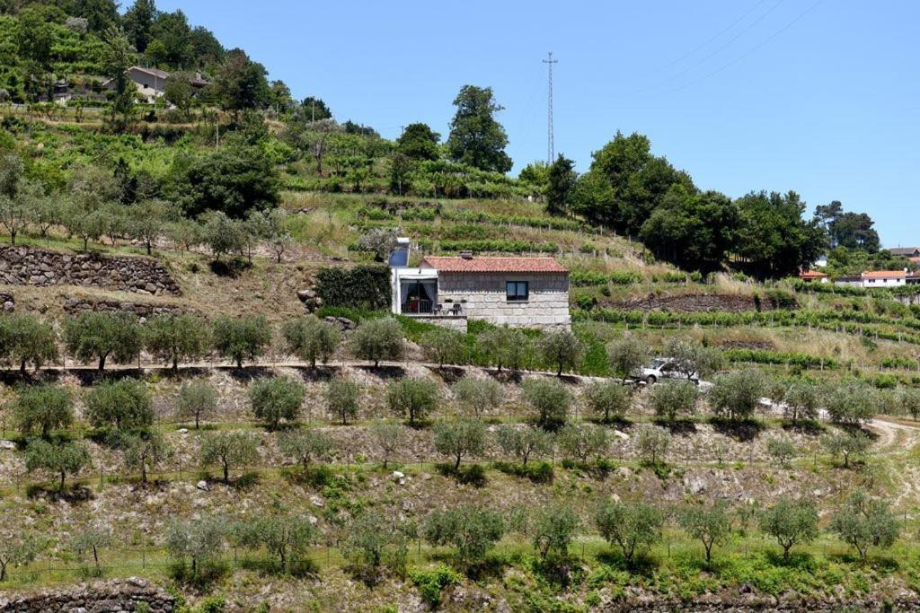 Casa Dos Becos Βίλα Ribadouro Εξωτερικό φωτογραφία